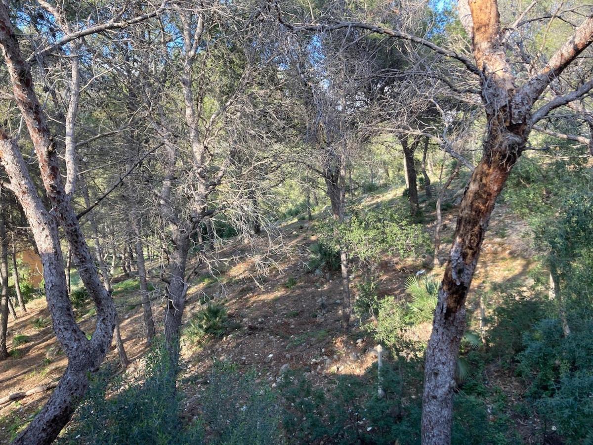 Apartamento Con Vistas Al Mar Castelldefels Zewnętrze zdjęcie